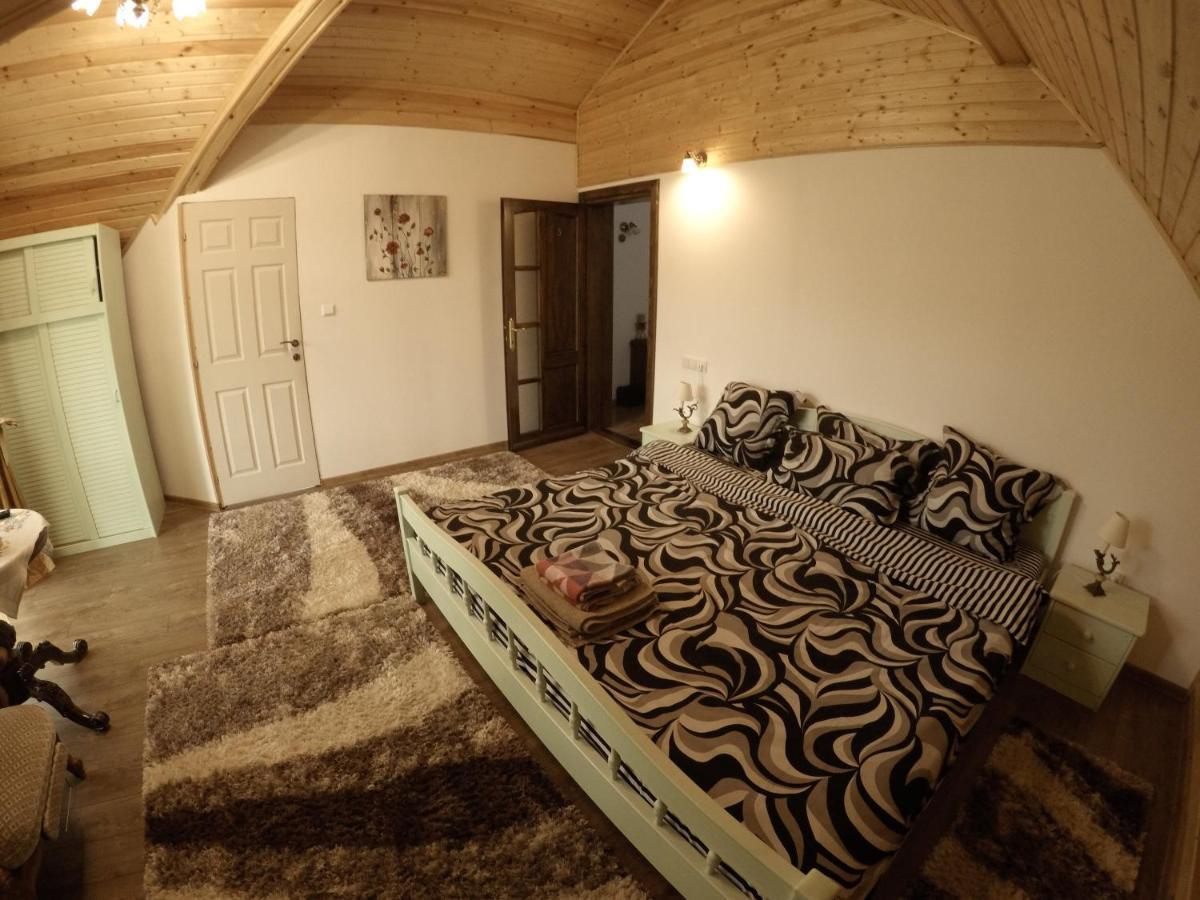 Hotel Conacul Caterinei à Polovragi Extérieur photo