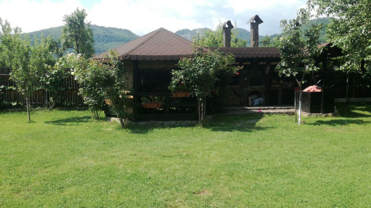Hotel Conacul Caterinei à Polovragi Extérieur photo